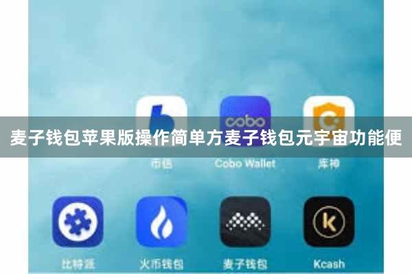 麦子钱包苹果版操作简单方麦子钱包元宇宙功能便