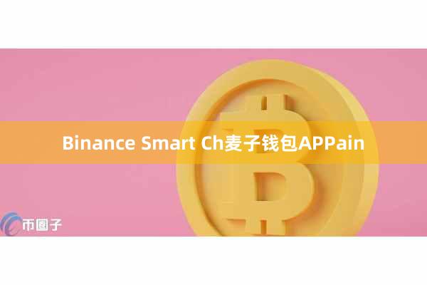 Binance Smart Ch麦子钱包APPain