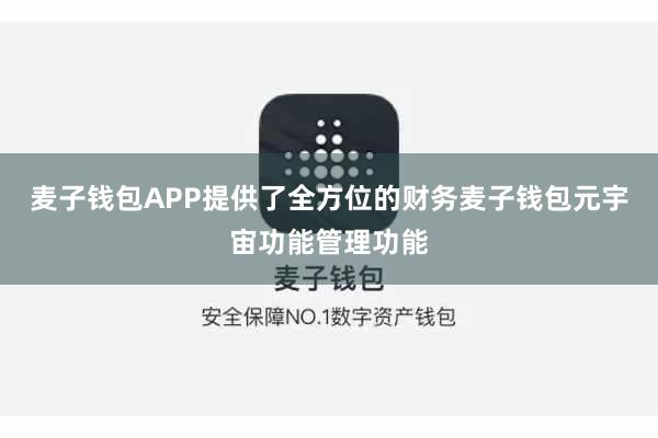 麦子钱包APP提供了全方位的财务麦子钱包元宇宙功能管理功能