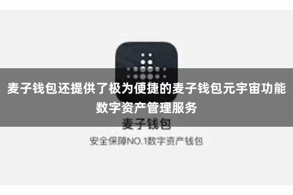 麦子钱包还提供了极为便捷的麦子钱包元宇宙功能数字资产管理服务