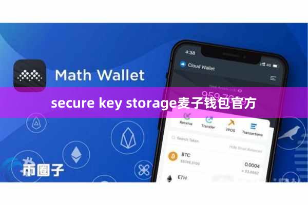secure key storage麦子钱包官方