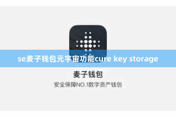 se麦子钱包元宇宙功能cure key storage