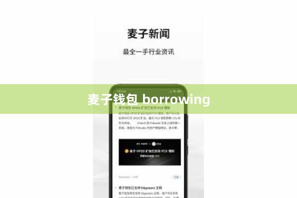 麦子钱包 borrowing