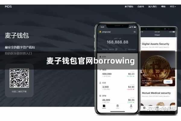 麦子钱包官网borrowing