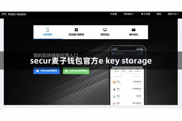 secur麦子钱包官方e key storage