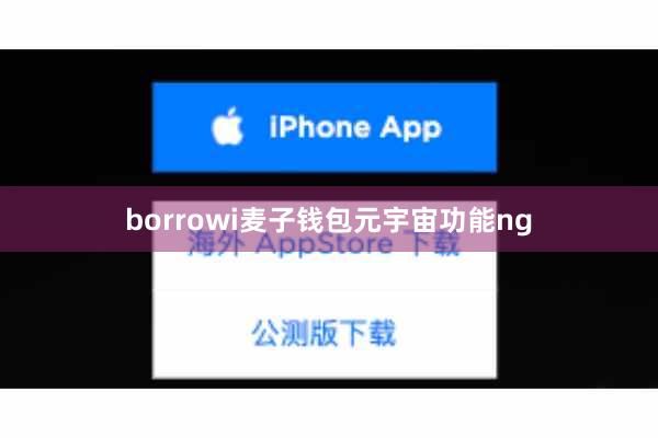 borrowi麦子钱包元宇宙功能ng