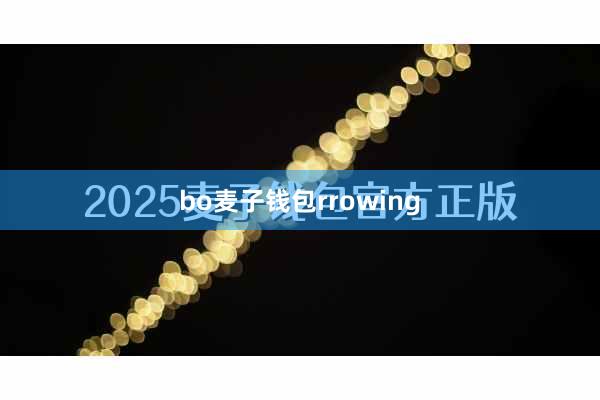 bo麦子钱包rrowing