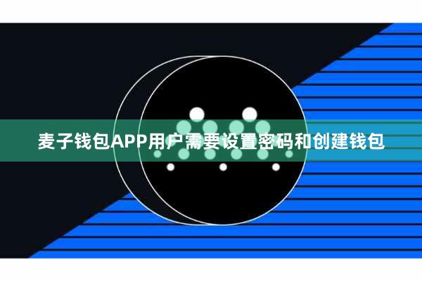 麦子钱包APP用户需要设置密码和创建钱包