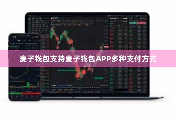 麦子钱包支持麦子钱包APP多种支付方式
