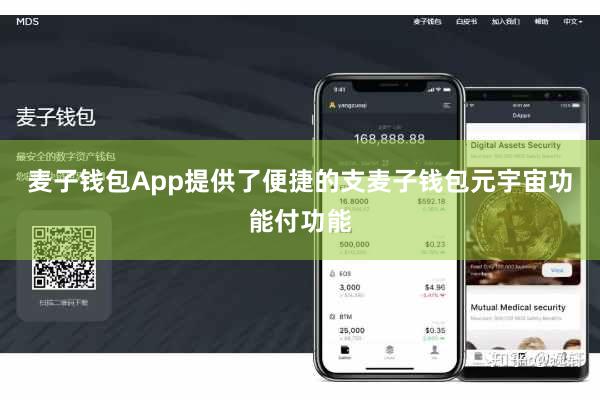 麦子钱包App提供了便捷的支麦子钱包元宇宙功能付功能