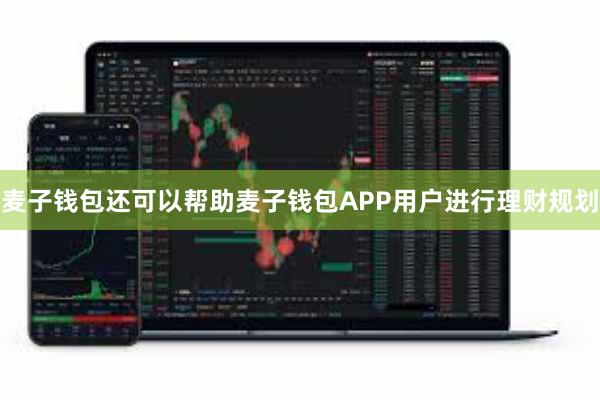 麦子钱包还可以帮助麦子钱包APP用户进行理财规划