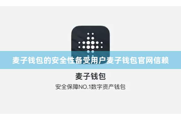麦子钱包的安全性备受用户麦子钱包官网信赖