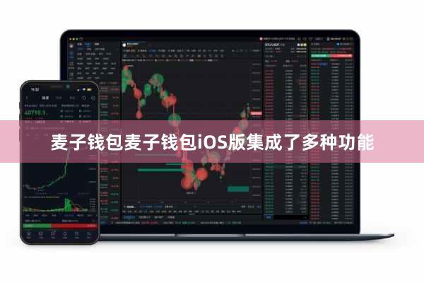 麦子钱包麦子钱包iOS版集成了多种功能
