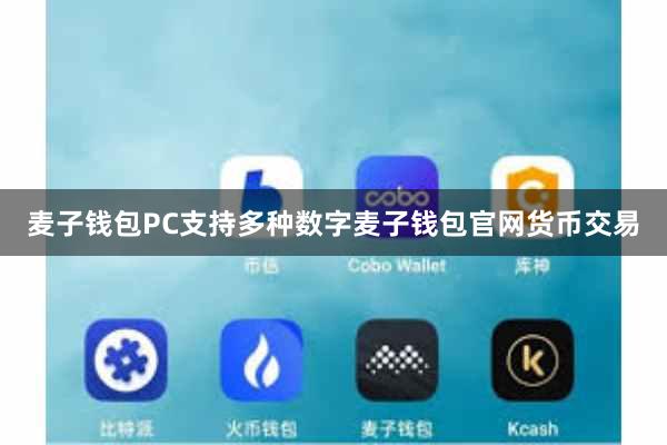 麦子钱包PC支持多种数字麦子钱包官网货币交易