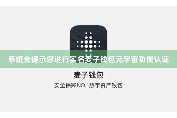 系统会提示您进行实名麦子钱包元宇宙功能认证