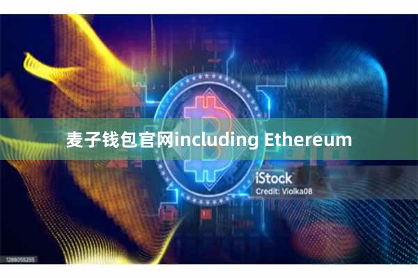 麦子钱包官网including Ethereum