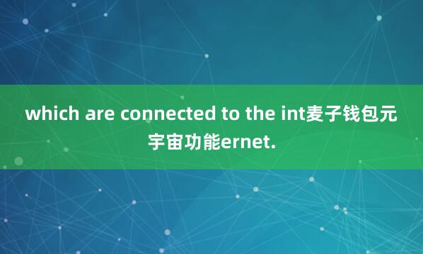 which are connected to the int麦子钱包元宇宙功能ernet.