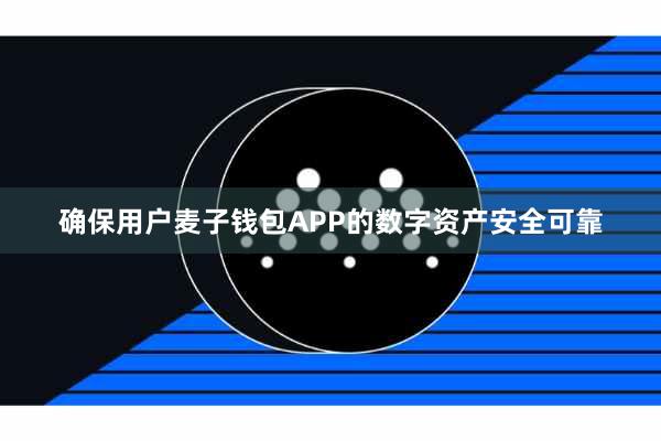 确保用户麦子钱包APP的数字资产安全可靠